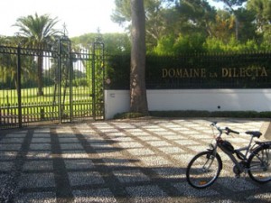 Domaine la Dilecta has intrigued me since I first stumbled on it at the top of Cap d’Antibes.