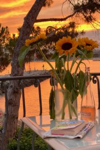 sunflowers, sunset, rosé wine