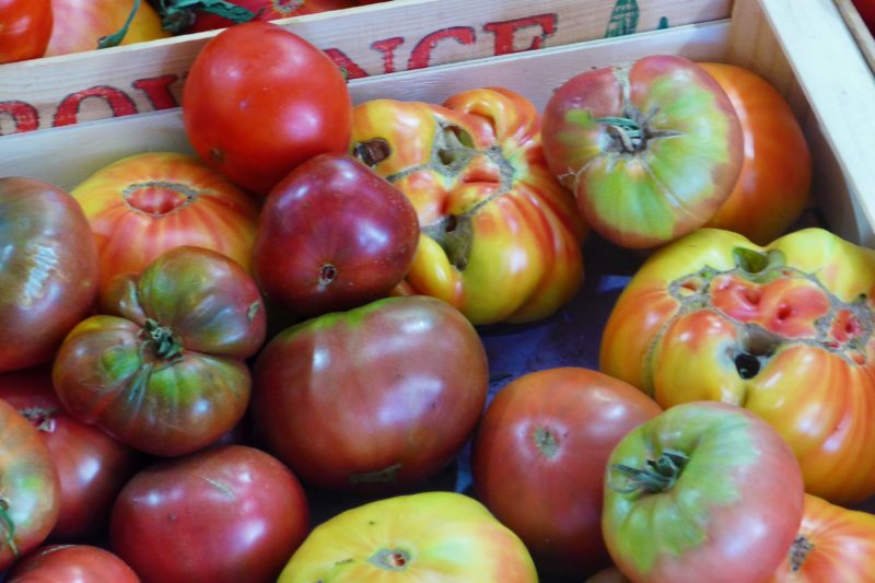 tomates at Marché Provençal, Antibes