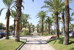 Antibes certainly has more palm trees than Toronto does . . .